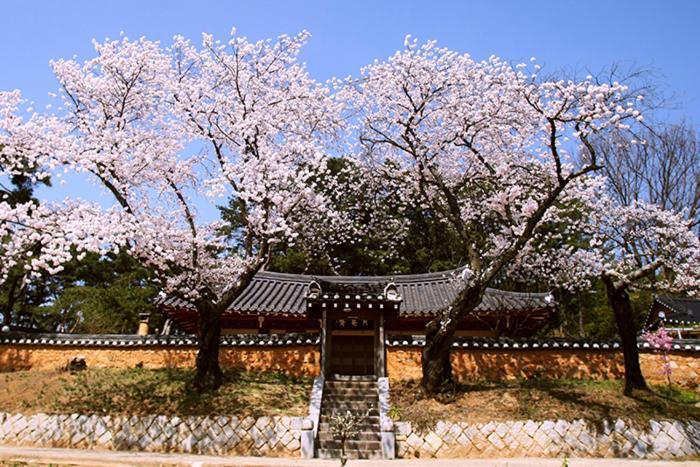 Wolamjae Villa Gyeongju Bagian luar foto