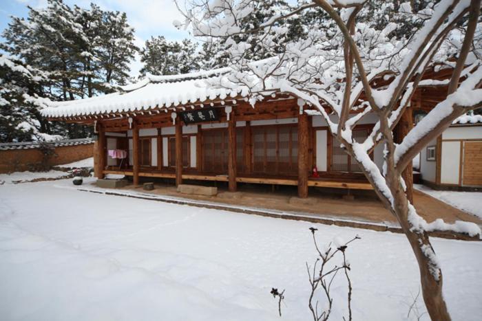 Wolamjae Villa Gyeongju Bagian luar foto